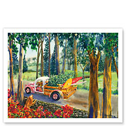 Upcountry Cargo - Hawaiian Truck with Surfboards, Dogs, Christmas Tree - Fine Art Prints & Posters