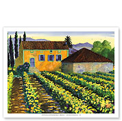 Maison Merlot - Tuscany Italy - Italian Farm, Vineyards - Fine Art Prints & Posters