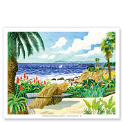 Rock Pile Carve Bench at Heisler Park - Laguna Beach California - Fine Art Prints & Posters