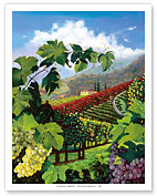 One Vine Day - Wine Country Vineyard - Fine Art Prints & Posters