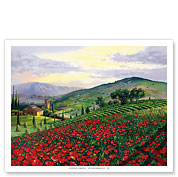 Timeless Tuscany - Italy - Flowerfield of Poppies - Fine Art Prints & Posters