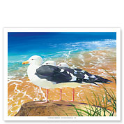 Tidewater Trio - Seagulls - Fine Art Prints & Posters