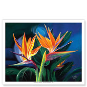 Birds of Feather - Hawaiian Birds of Paradise - Fine Art Prints & Posters