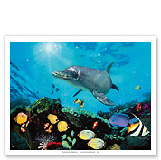 Shimmer Bay Shallows - Hawaiian Dolphin & Tropical Fish - Fine Art Prints & Posters