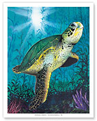 Hawaiian Green Sea Turtle - Fine Art Prints & Posters