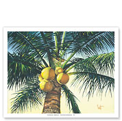 Branching Out - Coconut Tree - Fine Art Prints & Posters