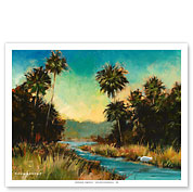 Southern Florida Everglades - Fine Art Prints & Posters