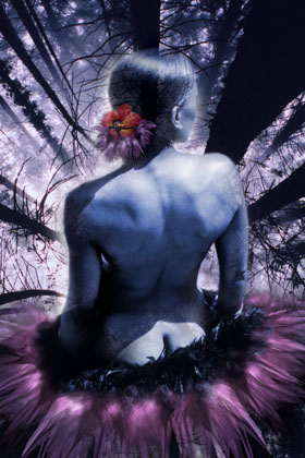 Indigo - Canvas and Matted Prints by Carolyn Quan