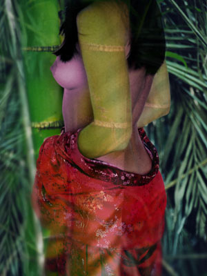 Beauty In Bamboo - Canvas and Matted Prints by Carolyn Quan