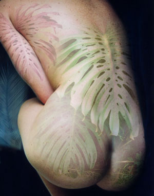 Natural Beauty - Canvas and Matted Prints by Carolyn Quan