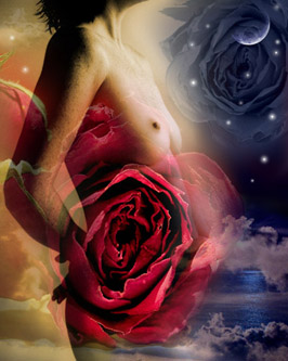 Evening Romance - Canvas and Matted Prints by Carolyn Quan