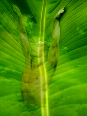 Spirit Rising - Canvas and Matted Prints by Carolyn Quan