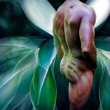 Devotion - Canvas and Matted Prints by Carolyn Quan