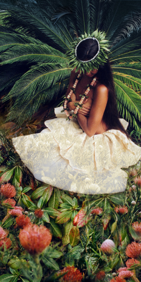 Secret Garden - Canvas Prints by Carolyn Quan