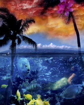 Hawaiian Dreams - Canvas and Matted Prints by Carolyn Quan
