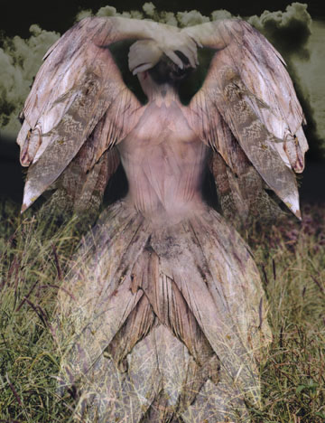 Victorian Angel - Canvas and Matted Prints by Carolyn Quan