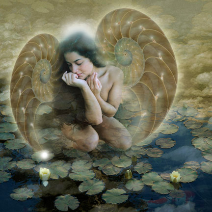 Memories Of You - Canvas and Matted Prints by Carolyn Quan