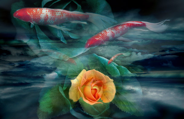 Spirit Of The Heart - Canvas Prints by Carolyn Quan