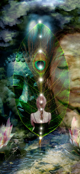Ascension - Canvas Prints by Carolyn Quan