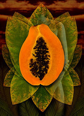 Desired Fruit - Canvas and Matted Prints by Carolyn Quan