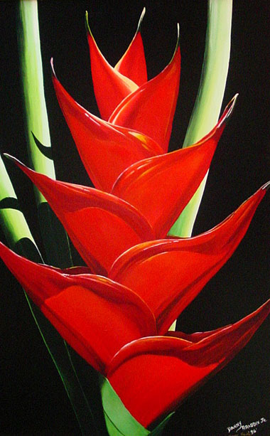Red Heliconia - Fine Art Giclee Canvas Prints