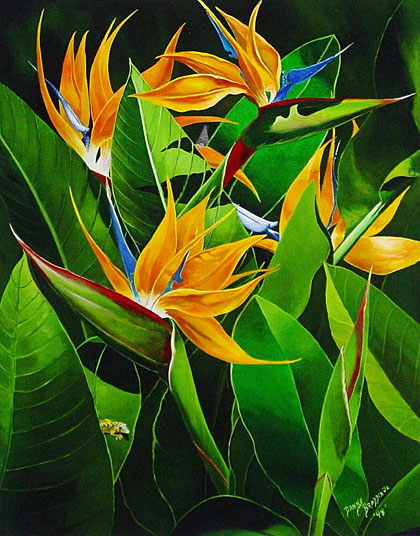 Birds of Paradise - Fine Art Giclee Canvas Prints