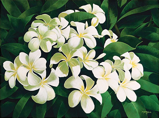 Plumeria IV - Fine Art Giclee Canvas Prints