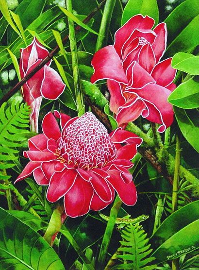 Torch Ginger - Fine Art Giclee Canvas Prints