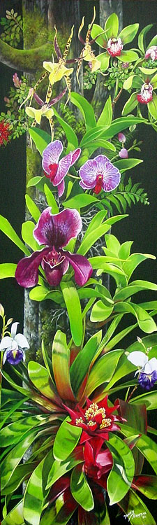 Orchids in Ohia Tree - Fine Art Giclee Canvas Prints