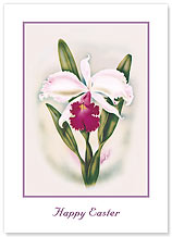 Cattleya Orchid - Hawaiian Collectors Edition Greeting Cards - Easter Cards