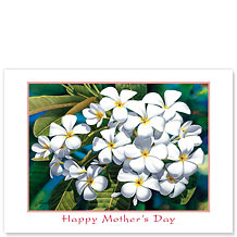 Plumeria - Hawaiian Collectors Edition Greeting Cards - Mother's Day Card