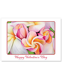 Plumeria Morning - Hawaiian Collectors Edition Greeting Cards - Valentine's Day Card