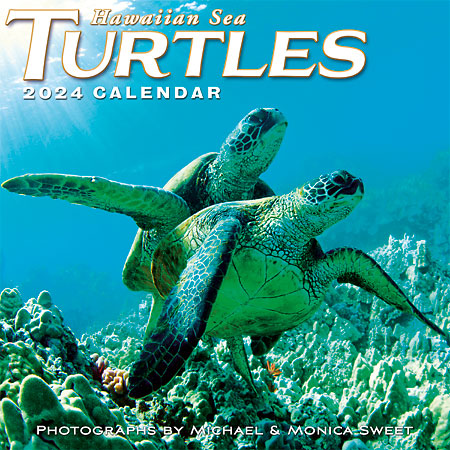 <strong>11" x 11"</strong> - 2024 Wall Calendar