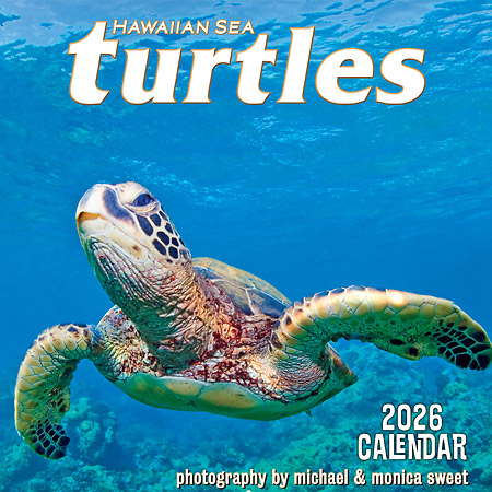 <strong>11" x 11"</strong> - 2026 Wall Calendar