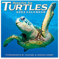 Hawaiian Sea Turtles - 2023 Deluxe Hawaiian Wall Calendar