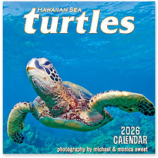 Hawaiian Sea Turtles - 2026 Deluxe Hawaiian Wall Calendar