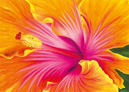 Sunrise Hibiscus - Personalized Greeting Card