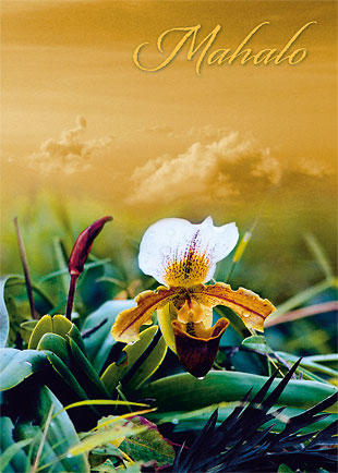 Heavenly Dew - Personalized Greeting Card