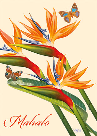 Paradise & Butterflies - Personalized Greeting Card