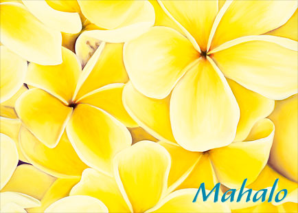 Sunshine Plumeria - Personalized Greeting Card