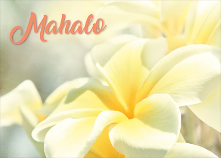 Na Lei Pua Melia Aloha E Ko Lele - Personalized Greeting Card