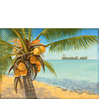 Palm Beach - Hawaiian Everyday Blank Greeting Card