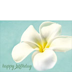 My Hope Carries Me ... - Hawaiian Happy Birthday Greeting Card