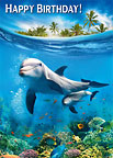 Dolphins - Hawaiian Happy Birthday Greeting Card