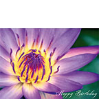 Ao Lani Heavenly Light - Hawaiian Happy Birthday Greeting Card