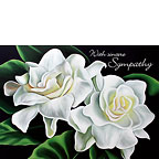 Two Gardenias - Hawaiian Sympathy Greeting Card