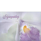 Beauty in a Whisper - Hawaiian Sympathy Greeting Card