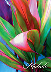 Nice Curves - Hawaiian Mahalo / Thank You Greeting Card