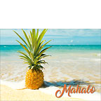 Pineapple Beach - Hawaiian Mahalo / Thank You Greeting Card