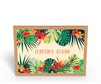Tropical Holiday Flowers - Hawaiian Holiday / Christmas Greeting Card Box Set